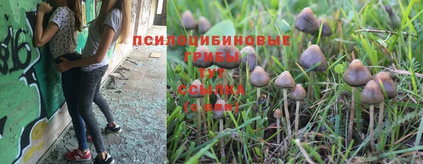 spice Алексин