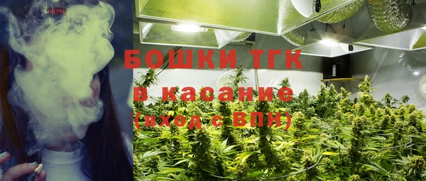 spice Алексин